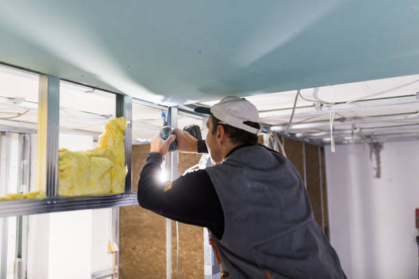 Best Residential Insulation in Bridgewater, VA